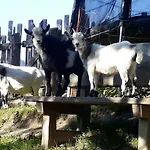 شقة أبارتيمينتس ليهينهوف سانكت يوهان ايم بونغ