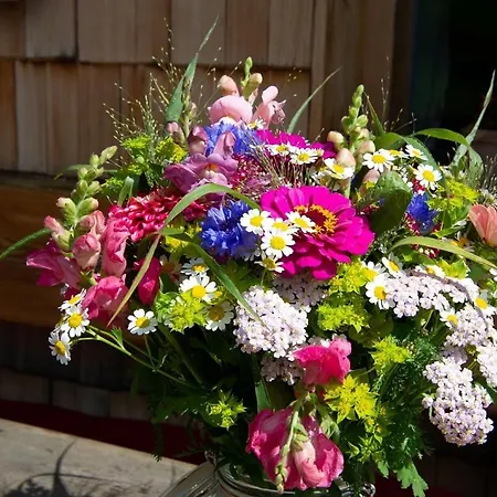 アパート Lehenhof