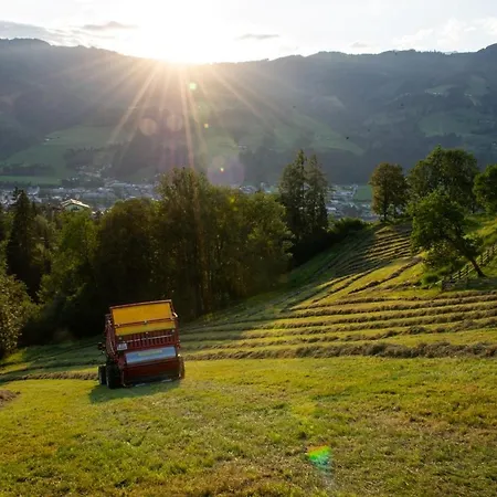 Lägenhet Lehenhof