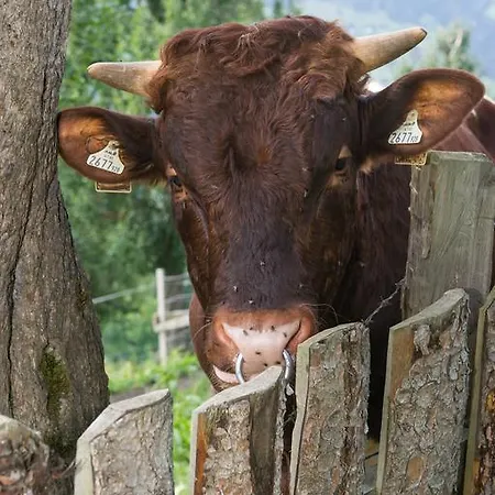 Lägenhet Lehenhof *