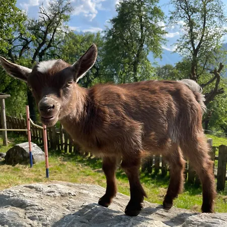 Lägenhet Lehenhof *