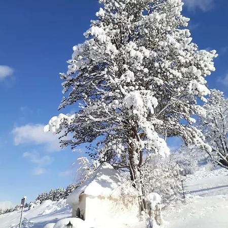 アパート Lehenhof