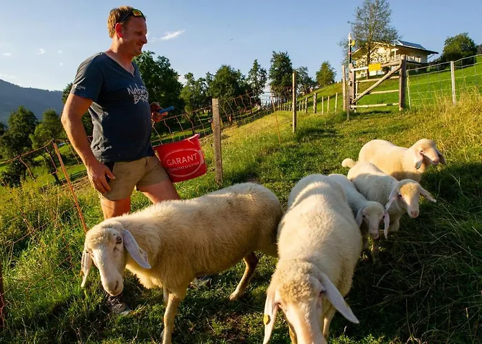 Lehenhof Sankt Johann im Pongau