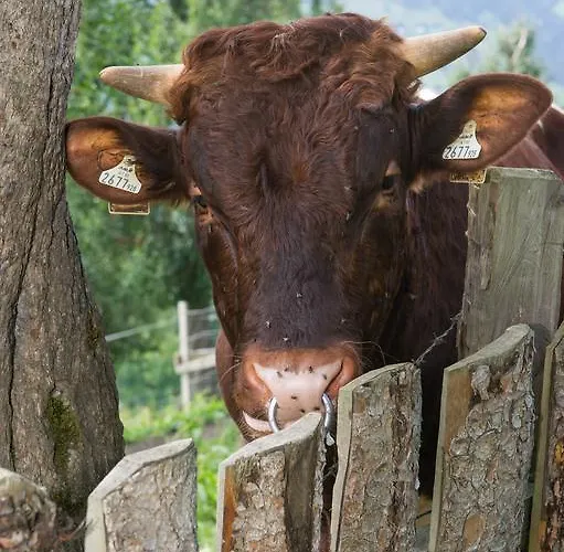 Διαμέρισμα Lehenhof *