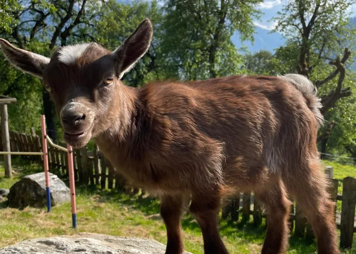 Διαμέρισμα Lehenhof *