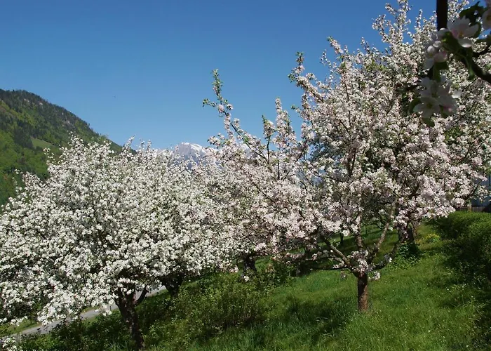 Lehenhof Διαμέρισμα