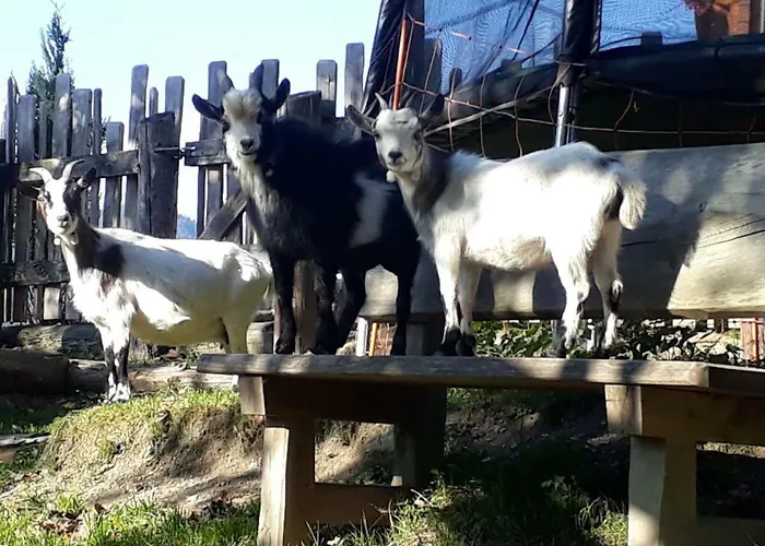 Διαμέρισμα Lehenhof Sankt Johann im Pongau